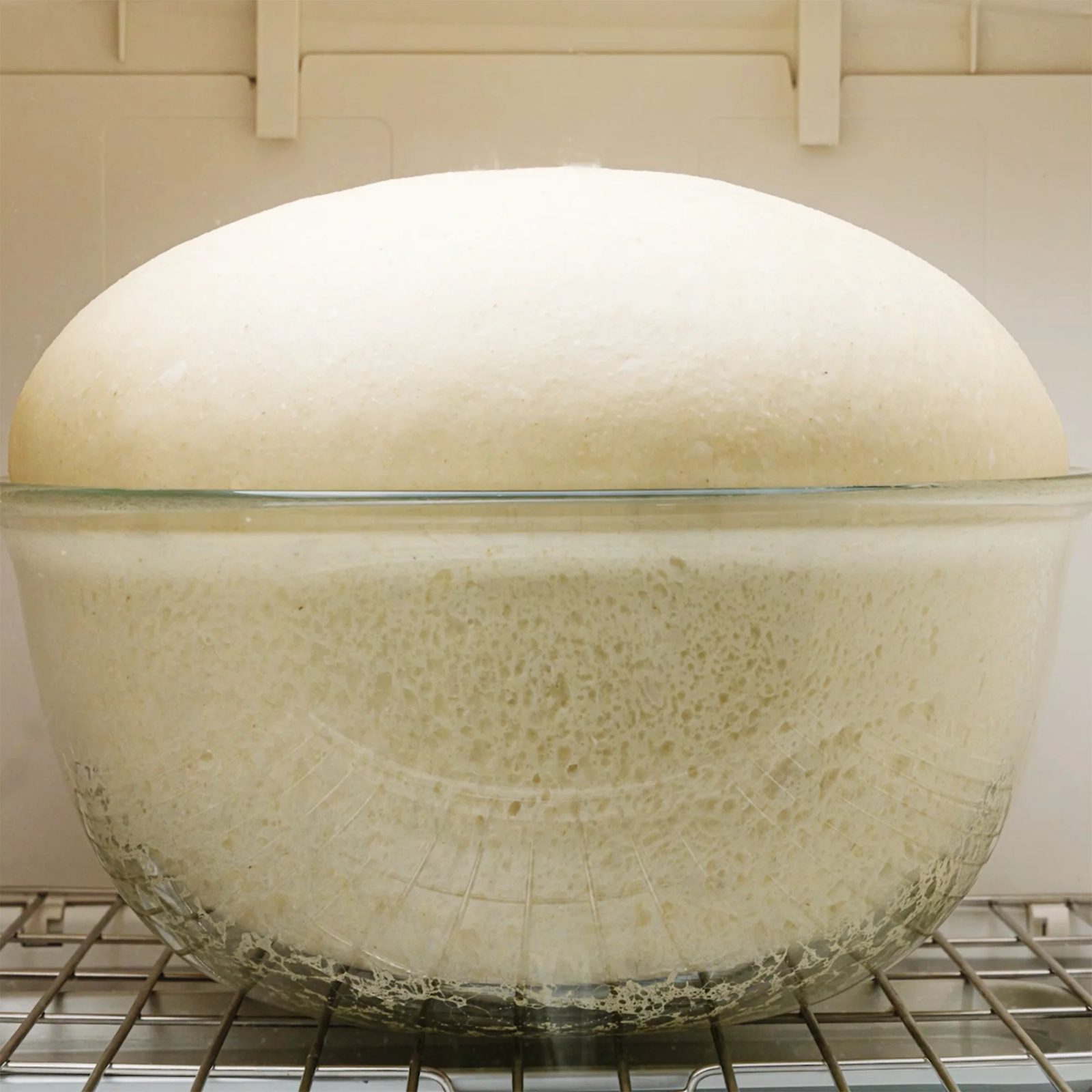 Foto: Fermentação
