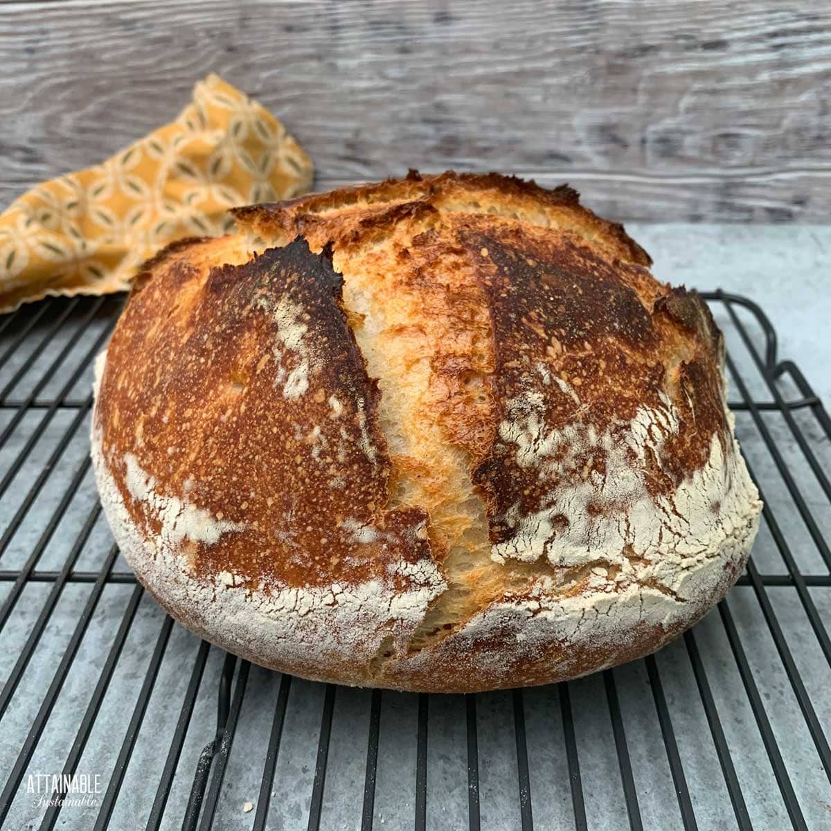 Foto: Boule